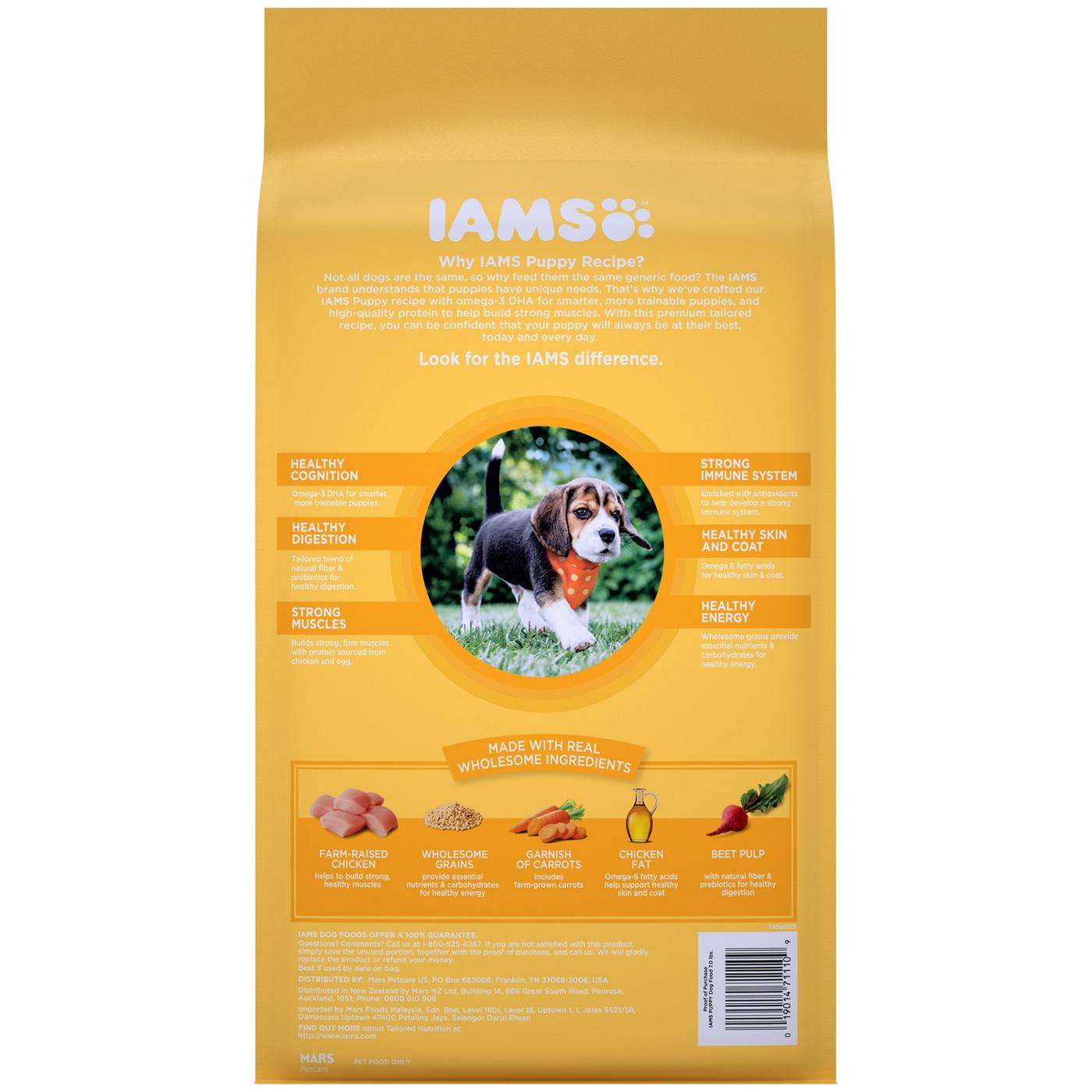 IAMS Smart Puppy Dry Dog Food with Real Chicken Shop Food at H E B