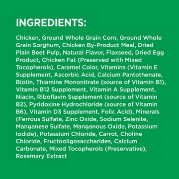 IAMS Proactive Health Minichunks Adult Small Kibble Dry Dog Food - Real Chicken and Whole Grains, 15 lb