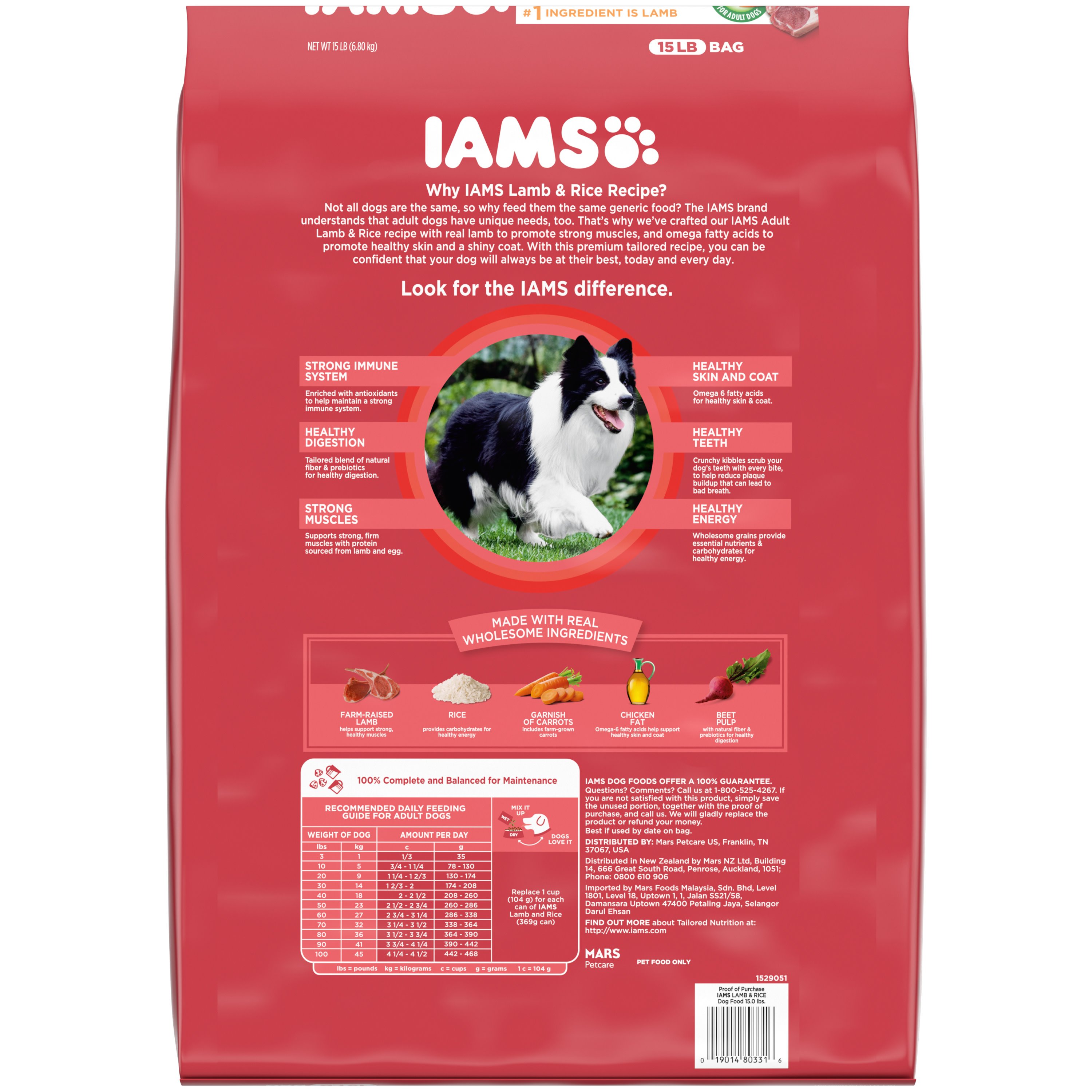 IAMS Minichunks Adult Dry Dog Food Lamb Rice Recipe Dog Kibble