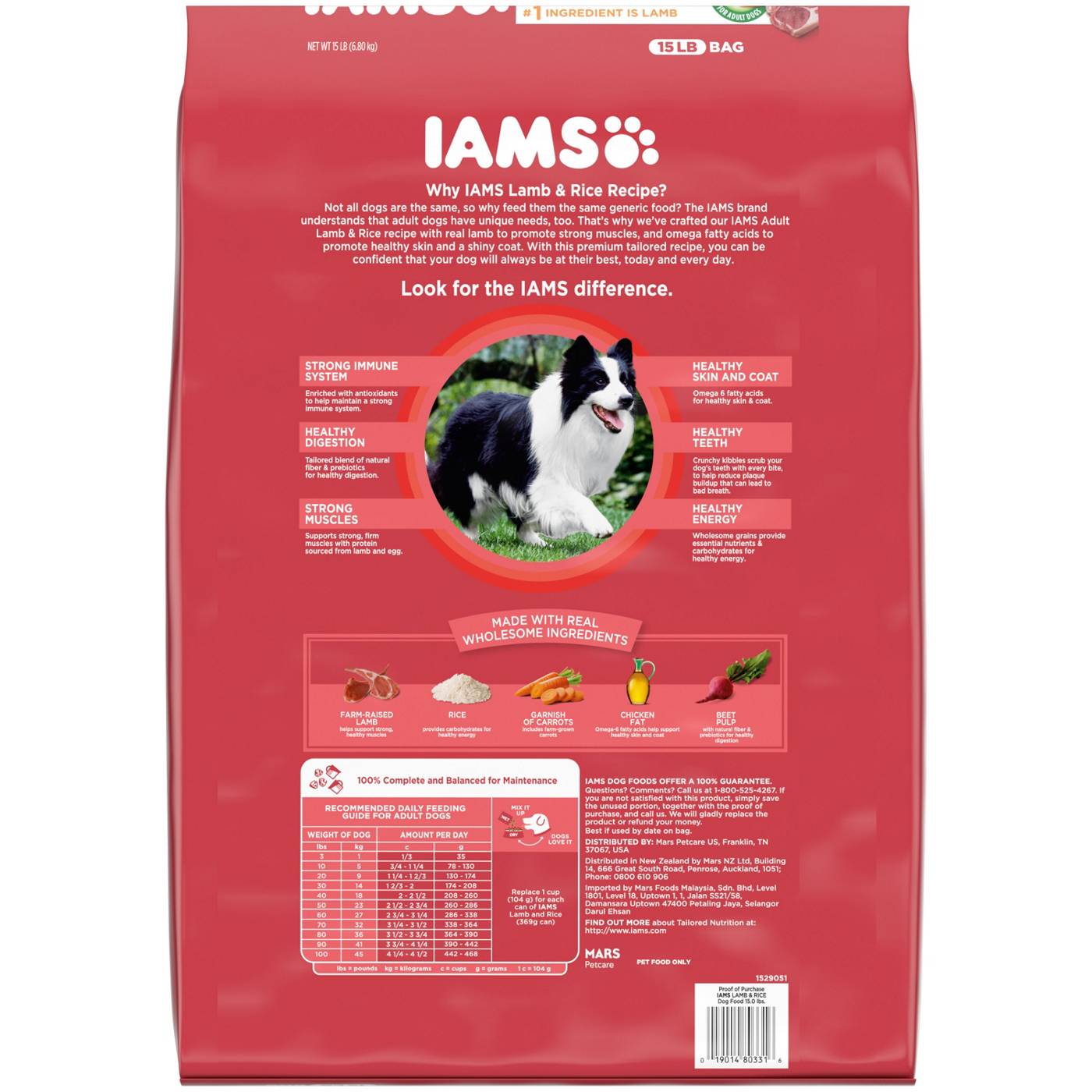 IAMS Minichunks Adult Dry Dog Food Lamb & Rice Recipe Dog Kibble; image 5 of 5