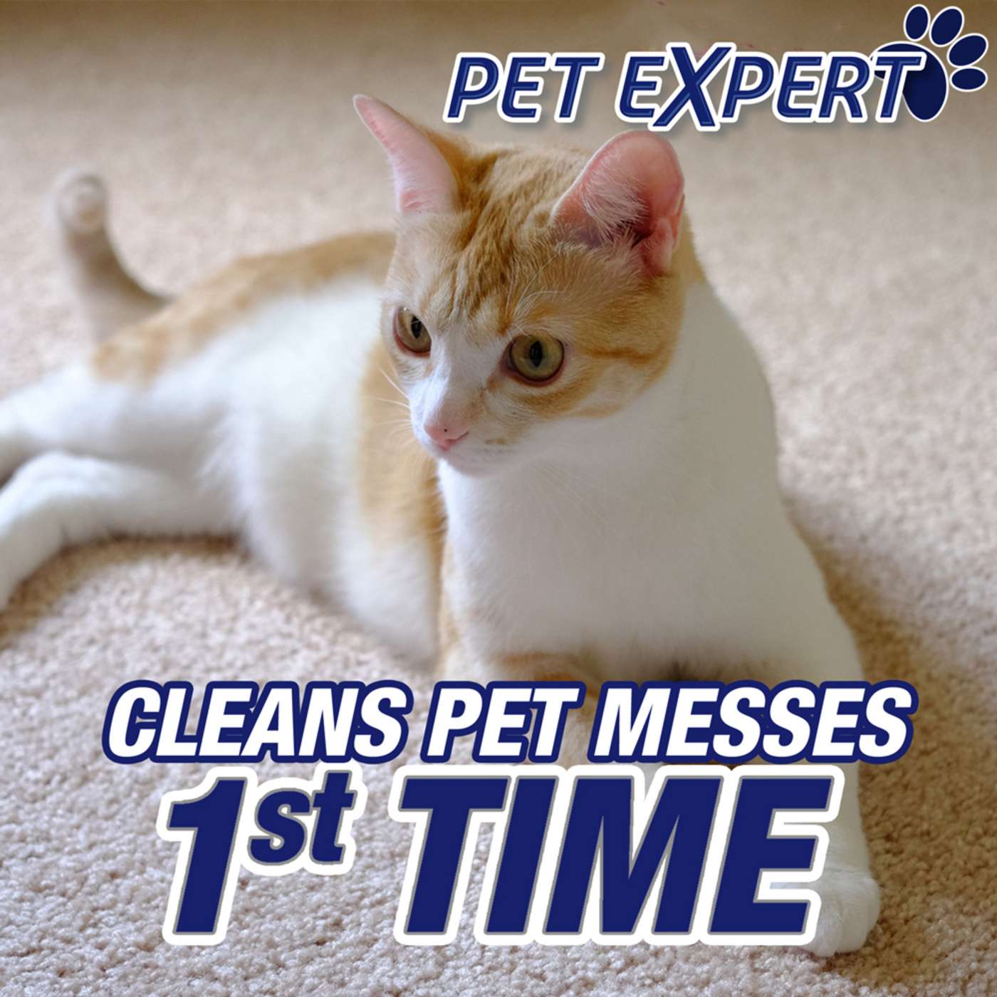 Resolve Pet Expert Carpet & Upholstery Stain Remover; image 2 of 5