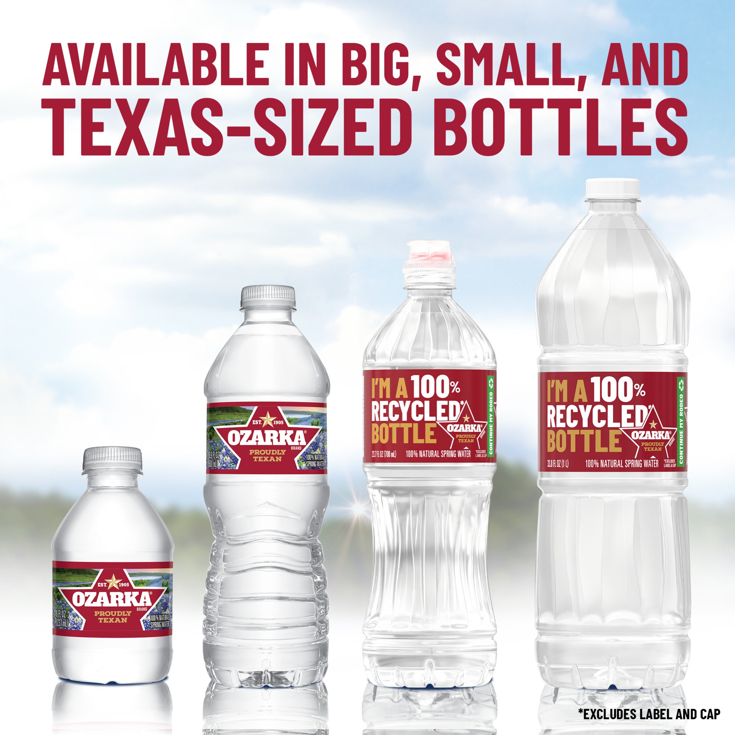 Ozarka 100% Natural Spring Water 16.9 oz Bottles - Shop Water at H-E-B