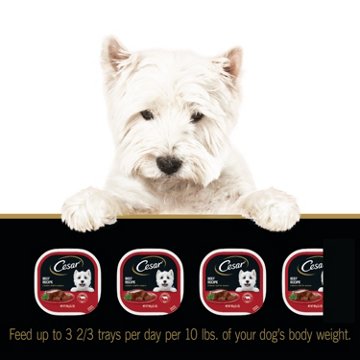 Cesar Wet Dog Food Loaf in Sauce Easy Peel Trays - Beef Recipe