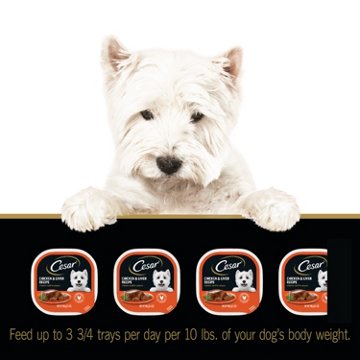 Cesar Wet Dog Food Classic Loaf in Sauce Easy Peel Trays - Chicken & Liver Recipe