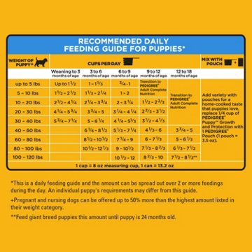 Pedigree Puppy Dry Puppy Food - Chicken Rice and Vegetable Flavor