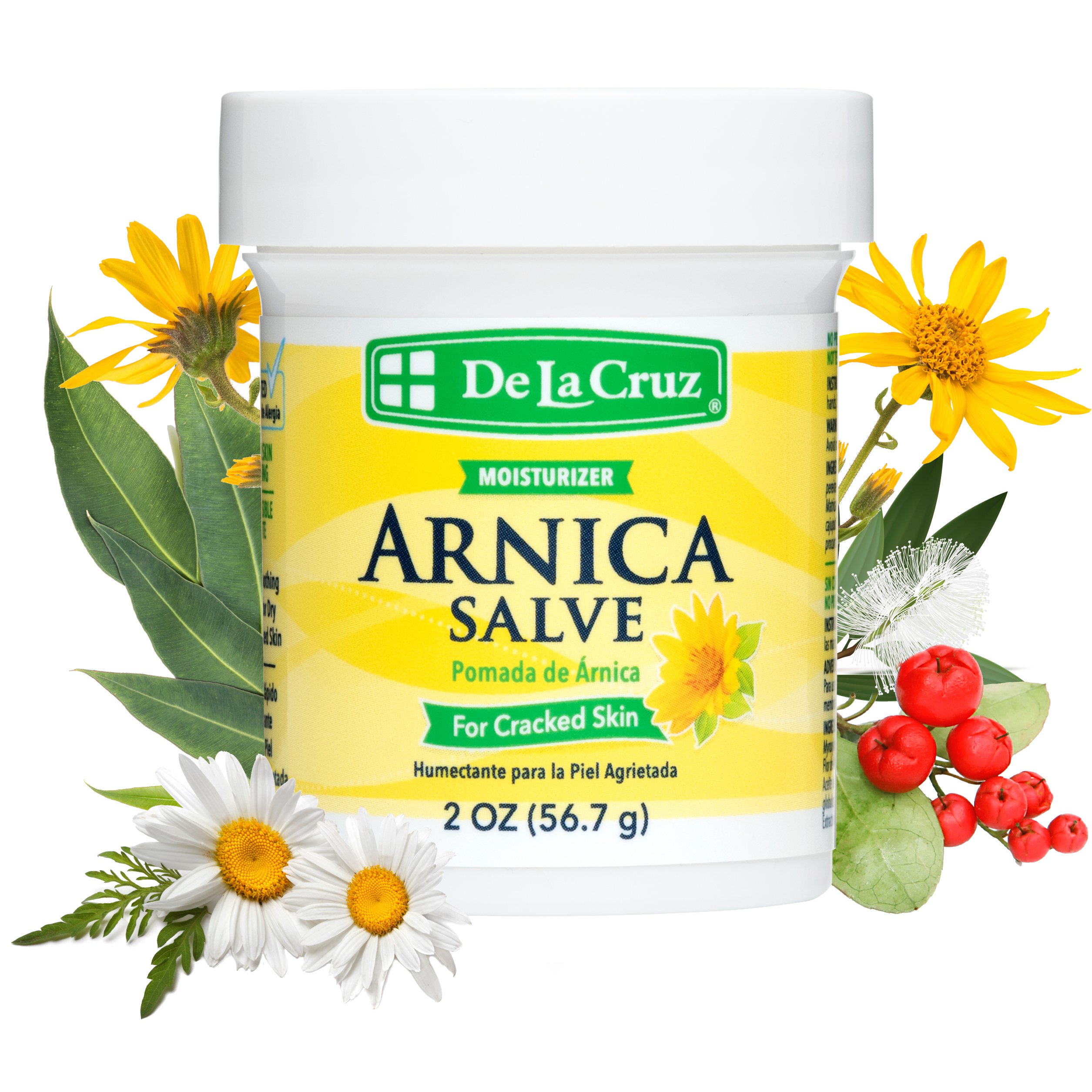 thumbnail image 2 of De La Cruz Arnica Salve For Cracked Skin – 2 Oz, 2 Jars, Made In USA, Exp 04/29, Daily Moisturizer Dry Skin 2 of 5