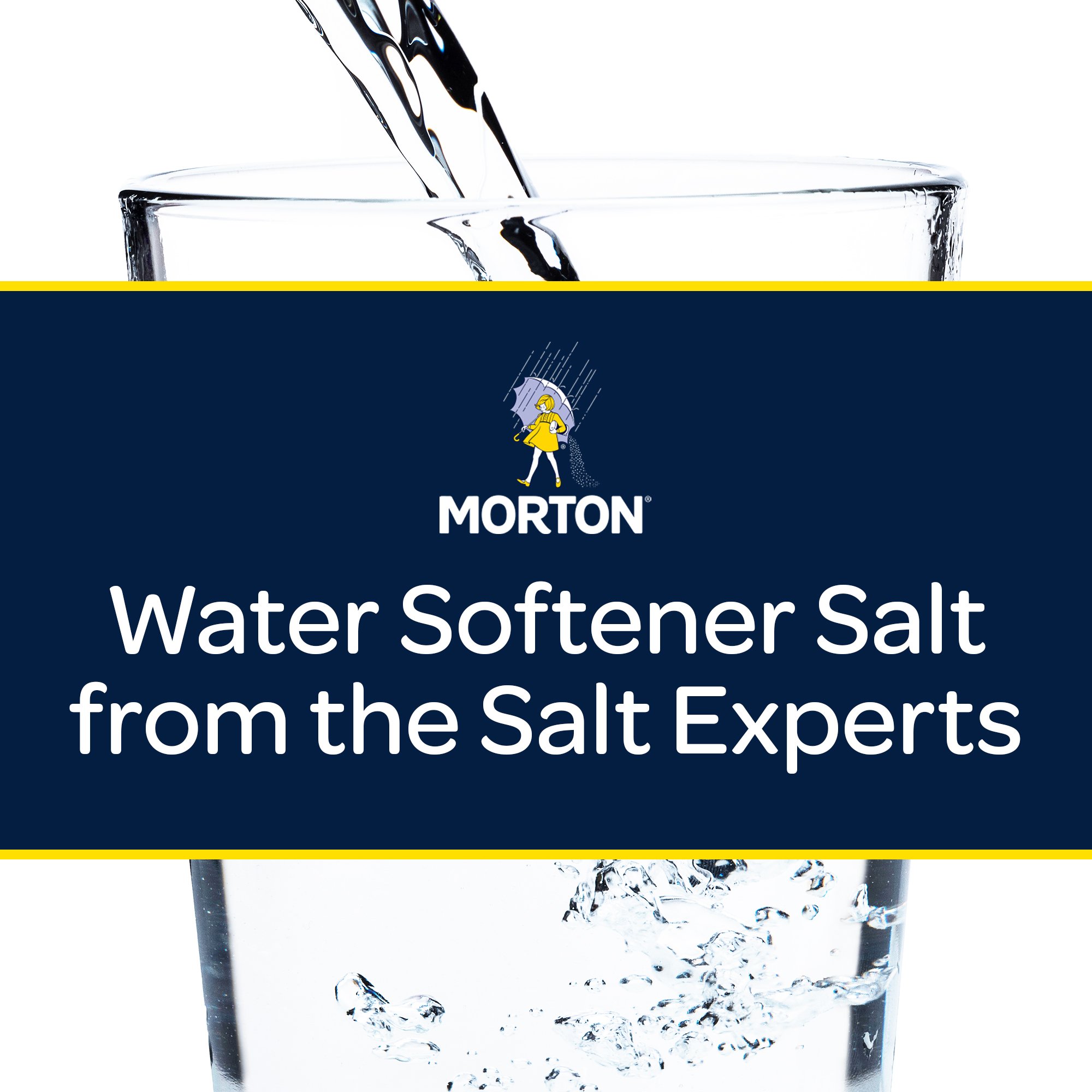 Morton® Water Softener Cleaner - 16 oz at Menards®