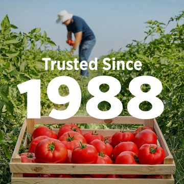 Hunt's Diced Tomatoes, 14.5 oz