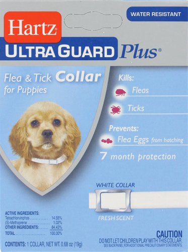 Hartz Ultra Guard Pro Flea & Tick Dog & Puppy Collar - Shop Flea & Tick  Treatments at H-E-B