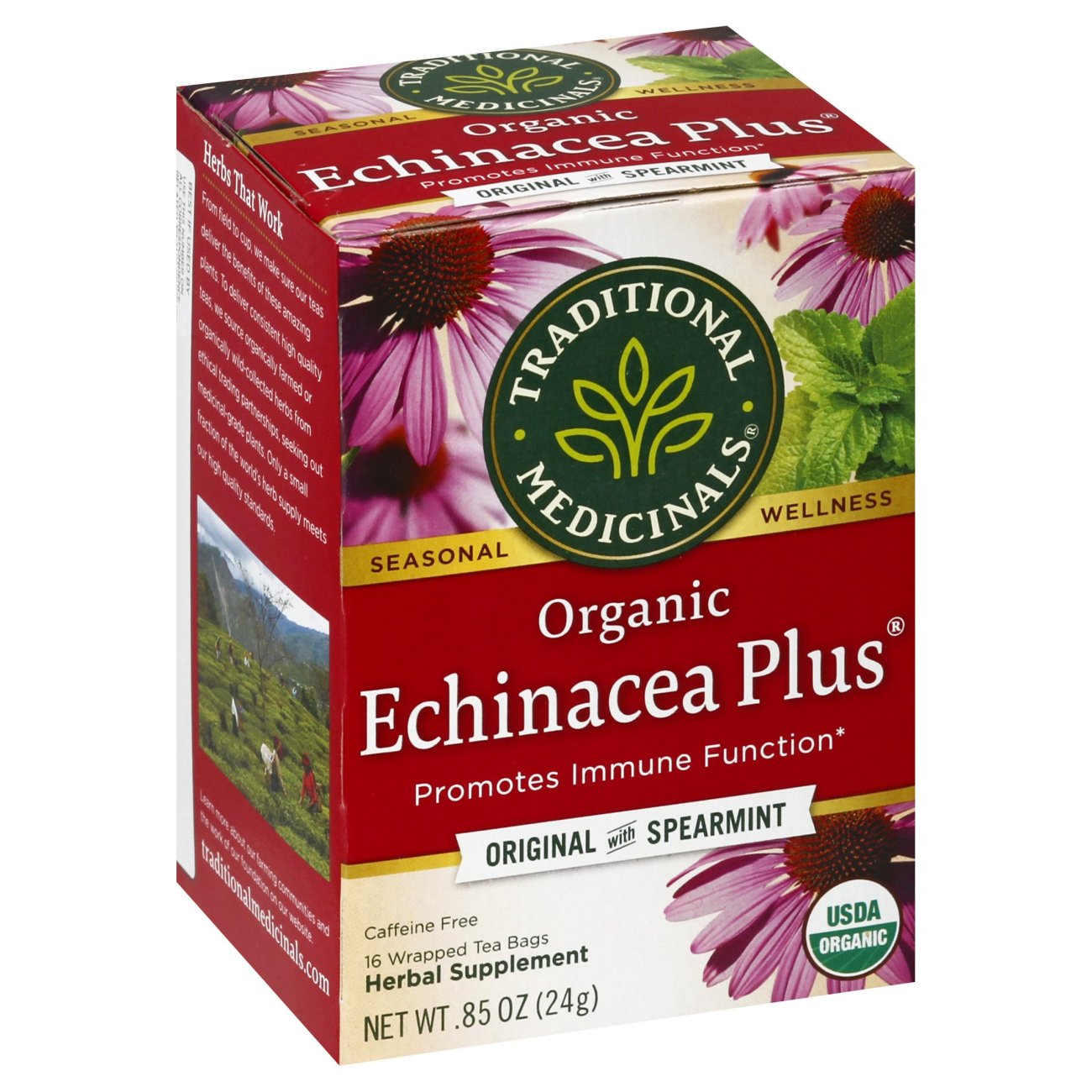 Traditional Medicinals Organic Echinacea Plus Caffeine Free Herbal Tea