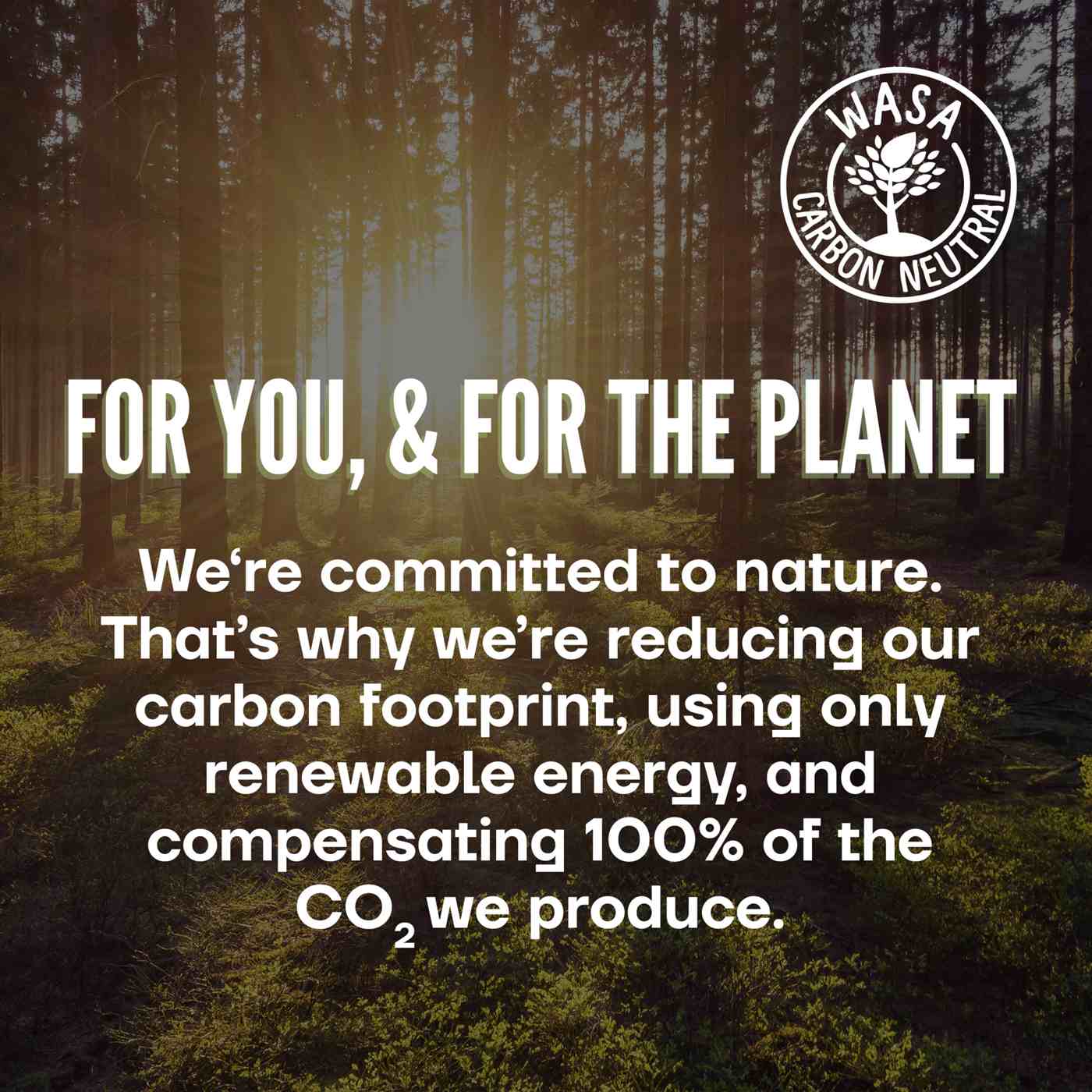 Wasa Multi Grain Swedish Style Crispbread Crackers Shop Crackers