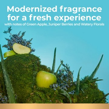 Irish Spring Aloe Mist Deodorant Bar Soap for Men