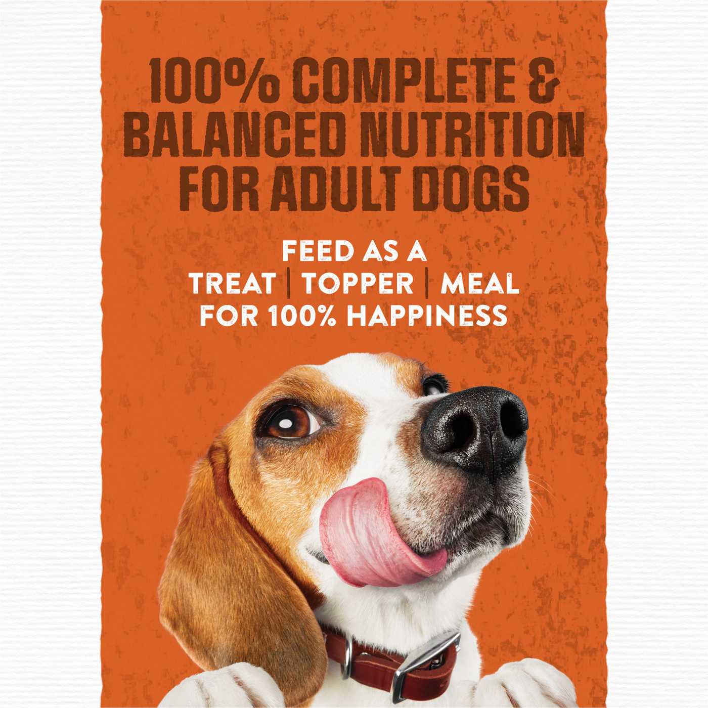 Purina soft and moist best sale dog food