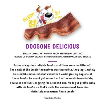 Beggin' Purina Soccer Crest Bacon Flavor Dog Treats