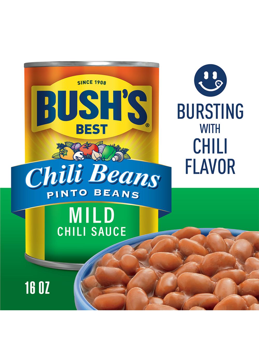 Bush's Best Pinto Beans in a Mild Chili Sauce; image 2 of 5