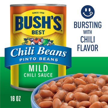 Bush's Best Pinto Beans in a Mild Chili Sauce, 16 oz