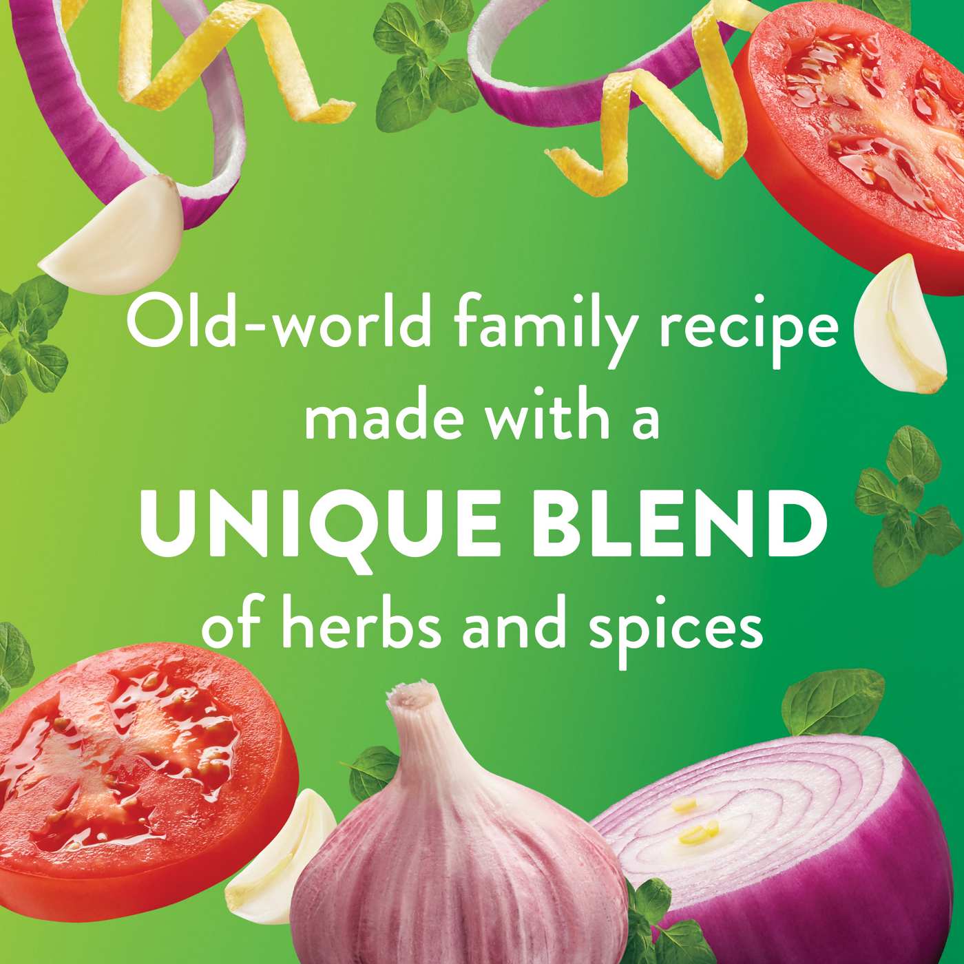 WishBone Zesty Robusto Italian Dressing Shop Salad dressings at HEB