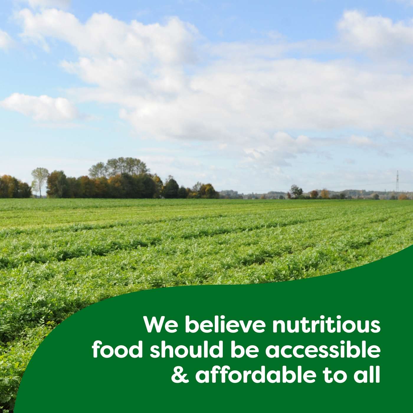 Knorr Rice Sides Cheddar Broccoli Rice; image 7 of 8