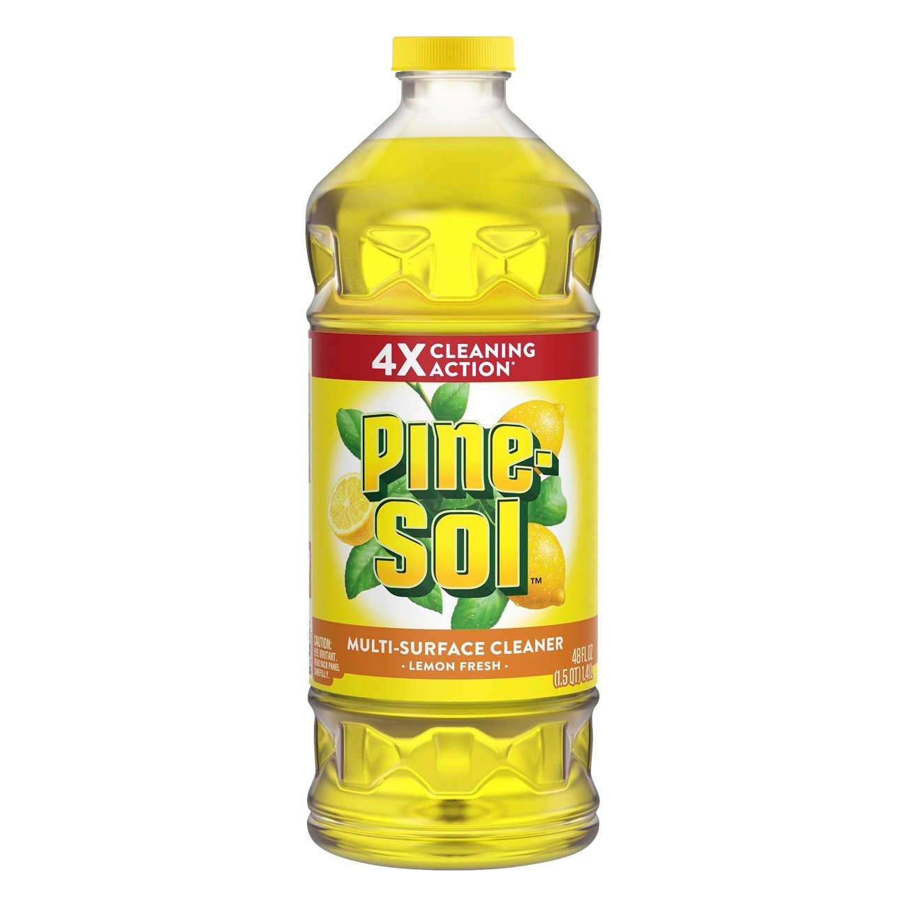 dog drank pine sol water