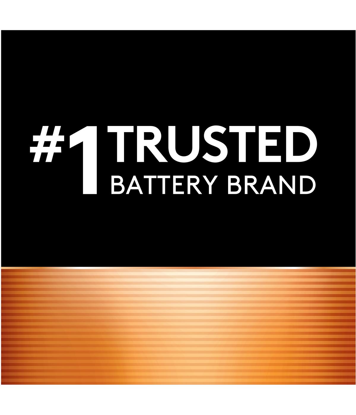 Duracell Coppertop AA Alkaline Batteries; image 5 of 5