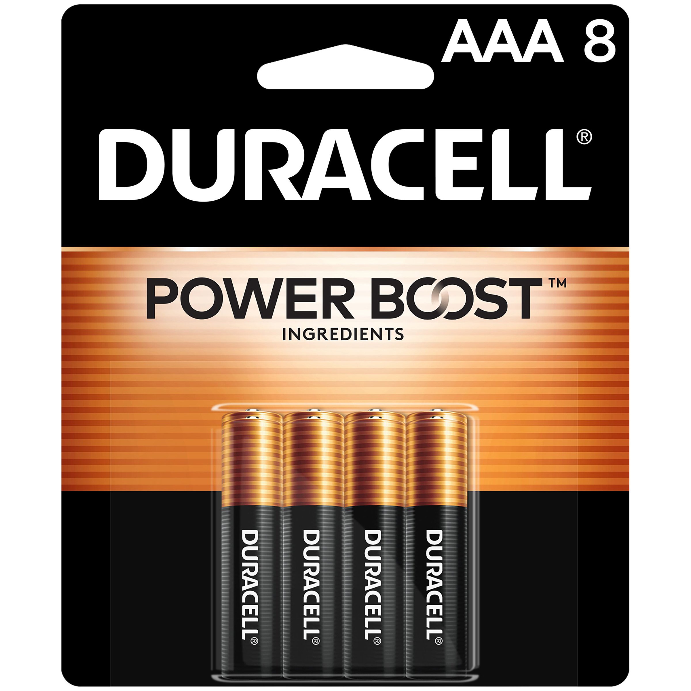 Duracell Coppertop Alkaline AAA Batteries with Power Boost Shop