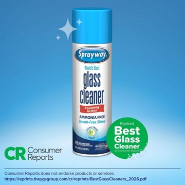 Sprayway Foaming Glass Cleaner Spray, 19 oz