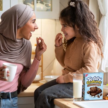 Teddy Grahams Chocolate Graham Snacks