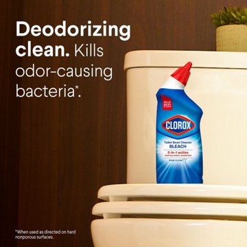 Clorox Toilet Bowl Cleaner with Bleach - Rain Clean