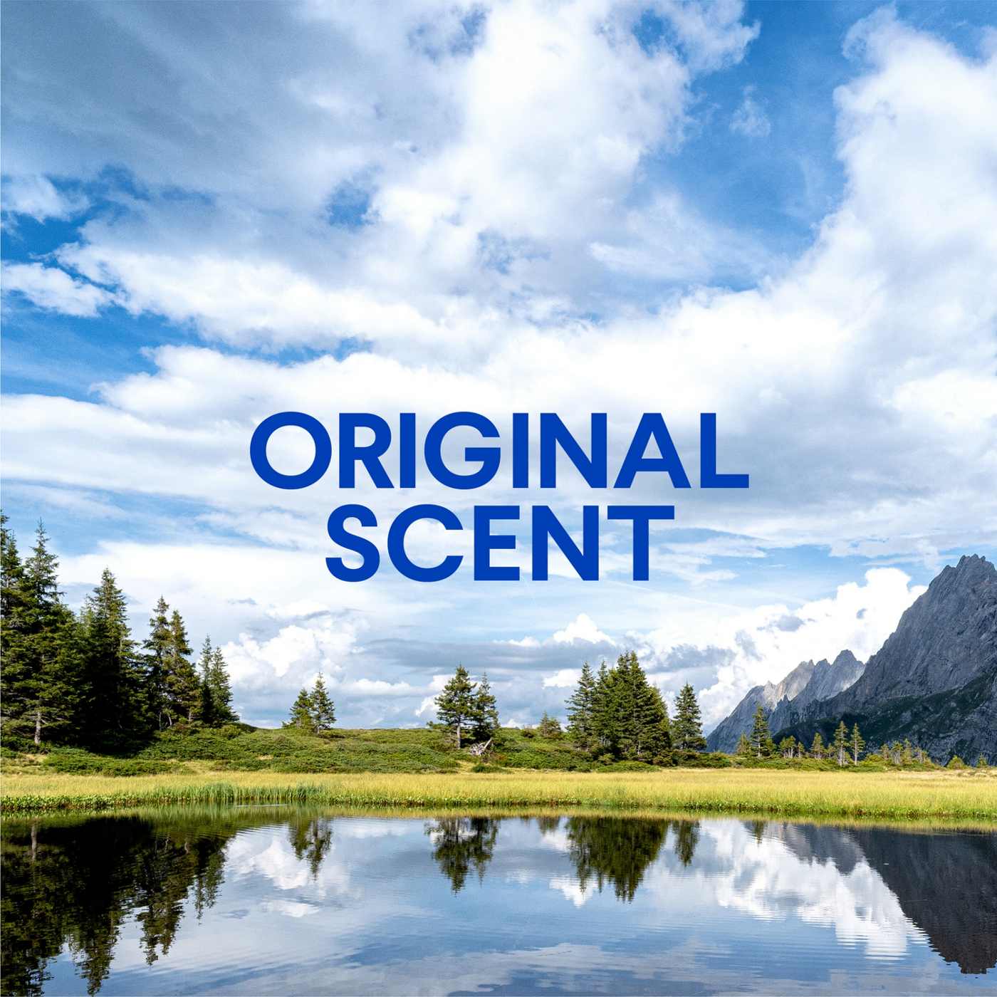 Clorox Clean-Up Multi-Surface Cleaner with Bleach Refill - Original; image 13 of 13