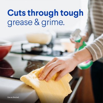 Clorox Clean-Up Multi-Surface Cleaner with Bleach Spray Bottle - Original, 32 oz