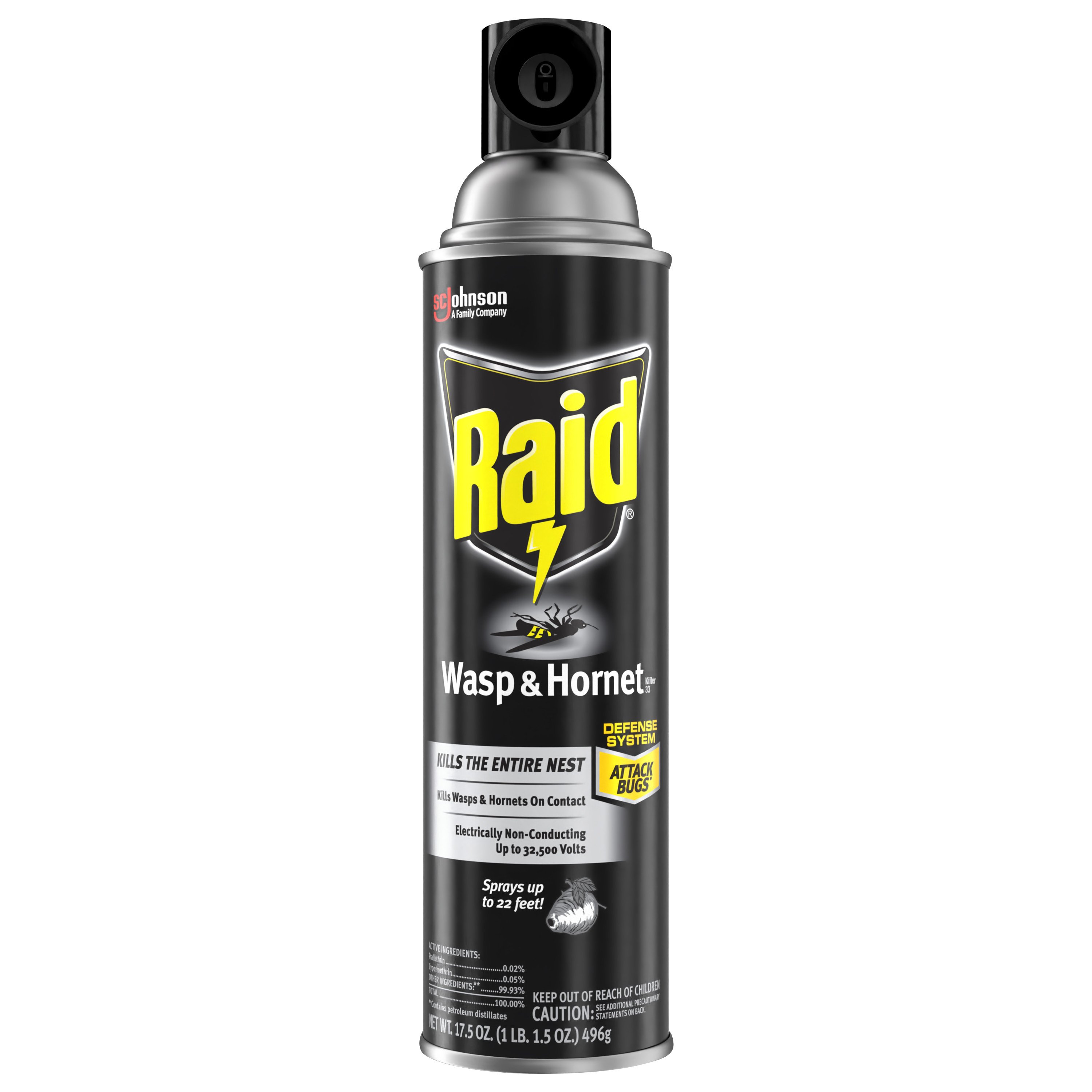 Raid Wasp & Hornet Killer 33 - Shop Insect Killers at H-E-B