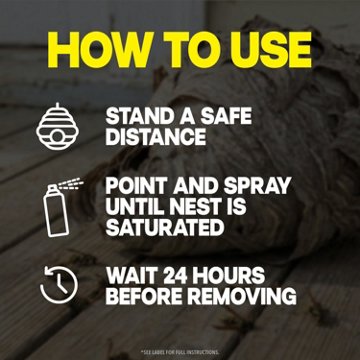 Raid Wasp & Hornet Killer, Outdoor Flying Insect Spray