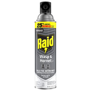 Raid Wasp & Hornet Killer, Outdoor Flying Insect Spray, 17.5 oz