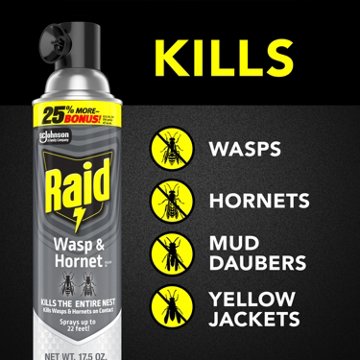 Raid Wasp & Hornet Killer, Outdoor Flying Insect Spray, 17.5 oz