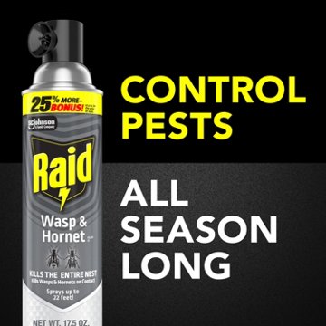 Raid Wasp & Hornet Killer, Outdoor Flying Insect Spray, 17.5 oz