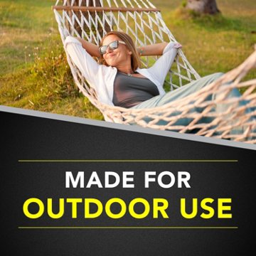 Raid Wasp & Hornet Killer, Outdoor Flying Insect Spray, 17.5 oz