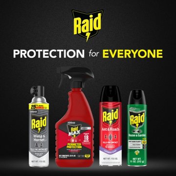 Raid Wasp & Hornet Killer, Outdoor Flying Insect Spray, 17.5 oz