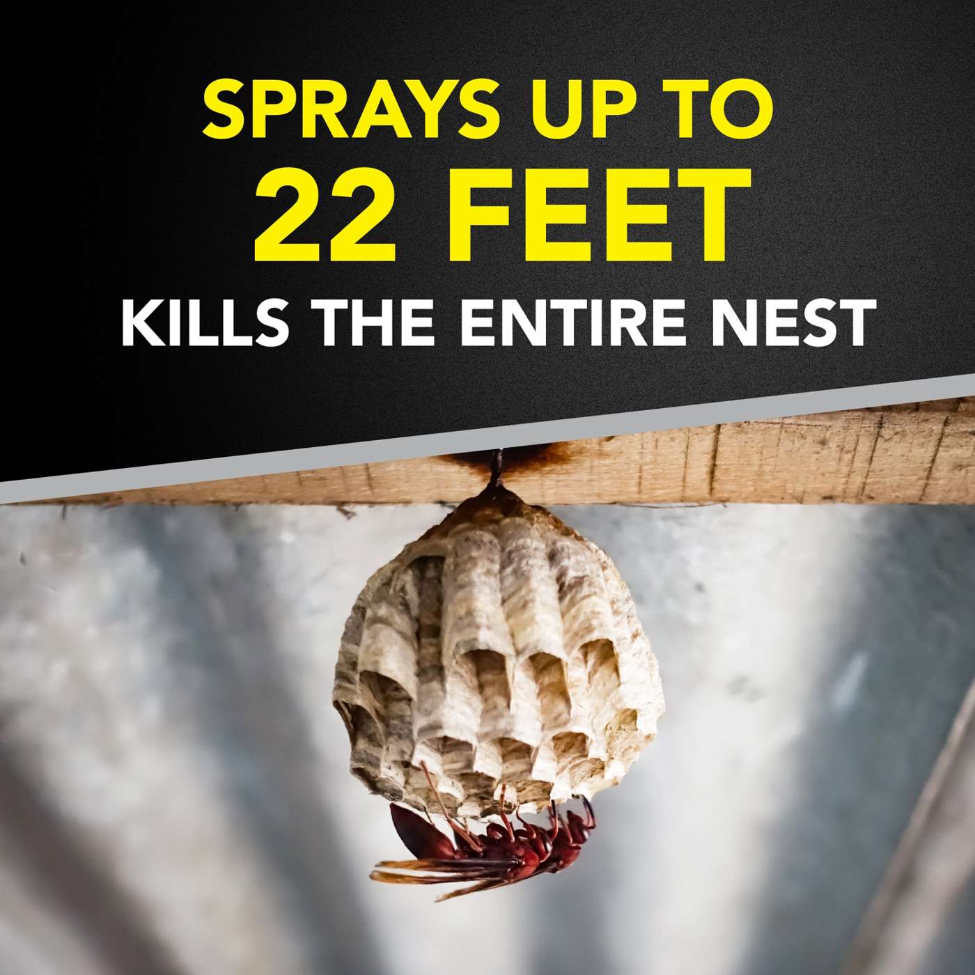 Raid Wasp & Hornet Killer, Outdoor Flying Insect Spray; image 6 of 10