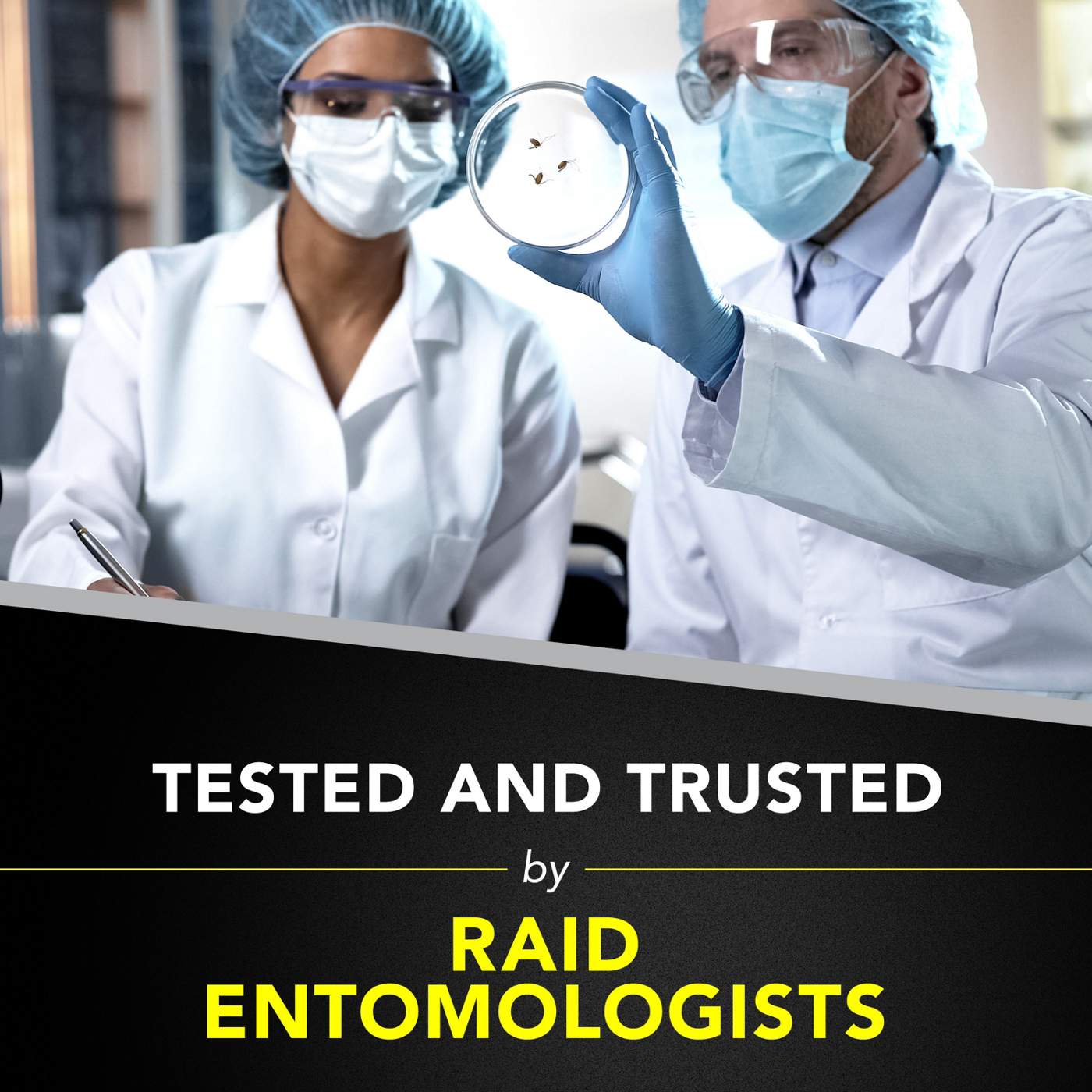 Raid Wasp & Hornet Killer, Outdoor Flying Insect Spray; image 7 of 10