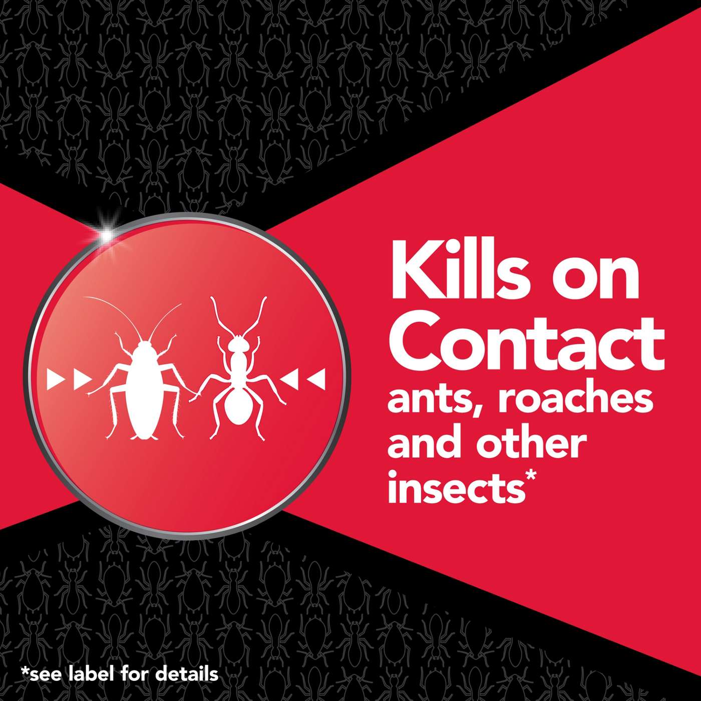 Raid Max Ant & Roach Insecticide Spray; image 4 of 10