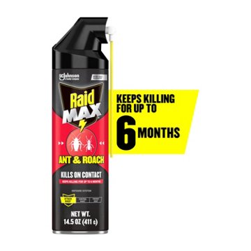 Raid Max Ant & Roach Insecticide Spray