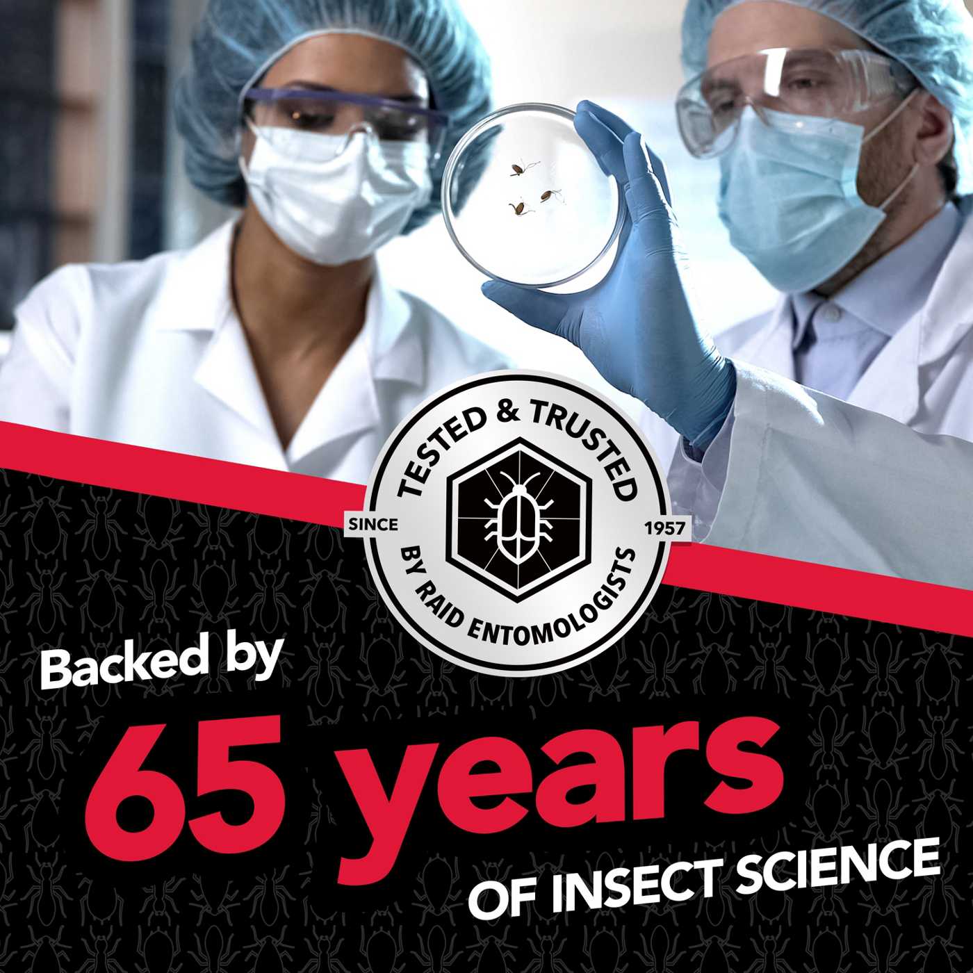 Raid Max Ant & Roach Insecticide Spray; image 5 of 10