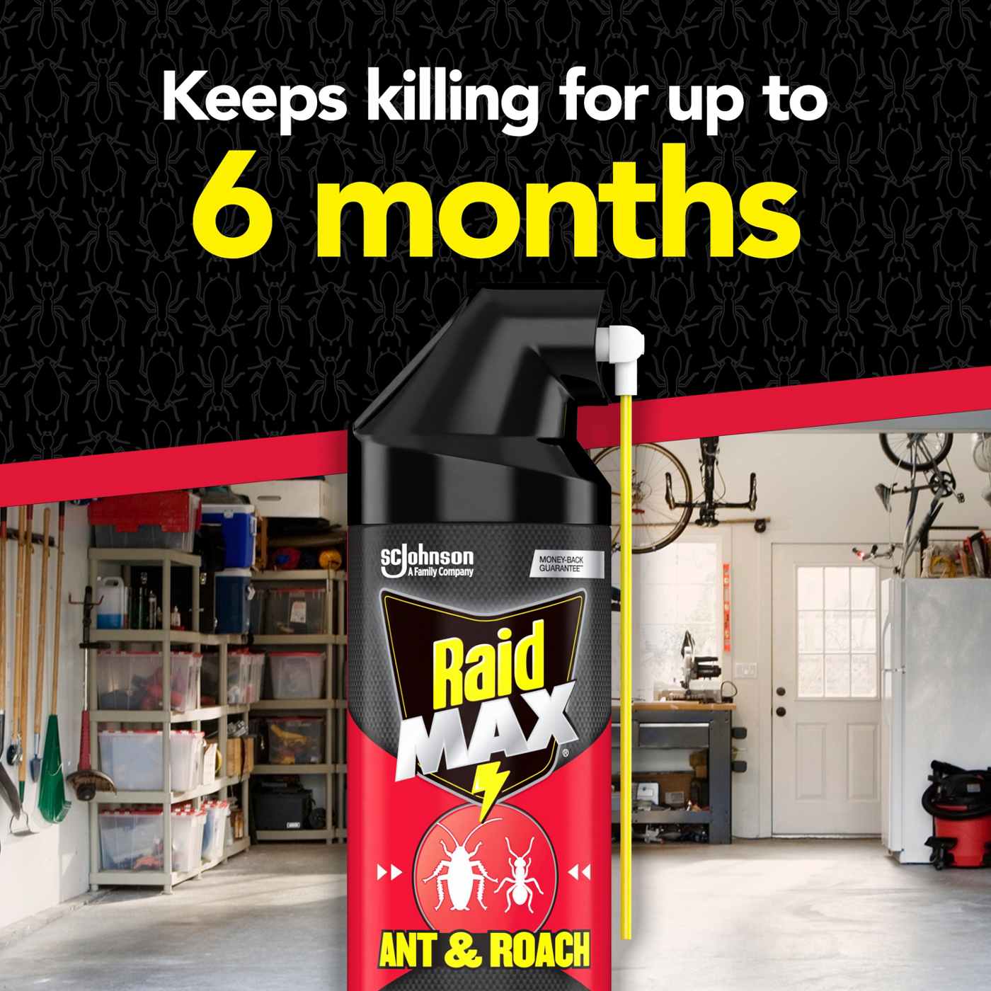 Raid Max Ant & Roach Insecticide Spray; image 7 of 10