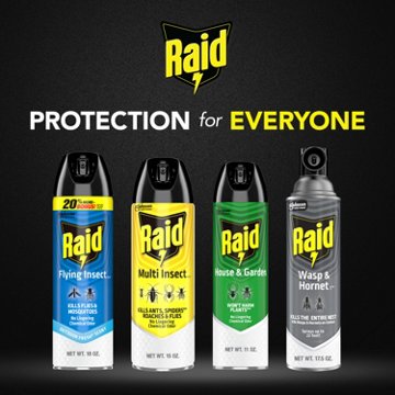 Raid Flying Insect Killer 7, 18 oz