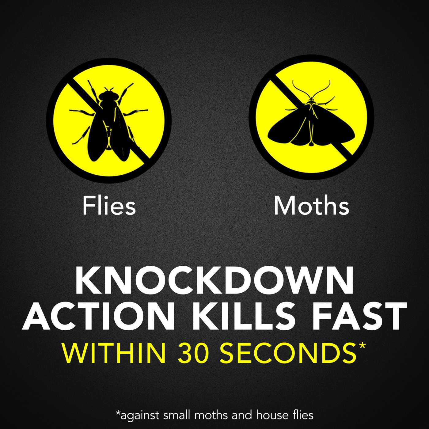 Raid Flying Insect Killer 7; image 10 of 11