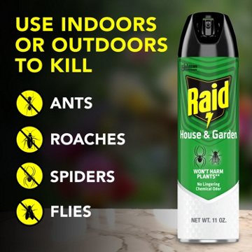 Raid House & Garden I Bug Spray, 11 oz