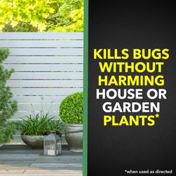 Raid House & Garden I Bug Spray, 11 oz