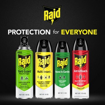Raid House & Garden I Bug Spray, 11 oz