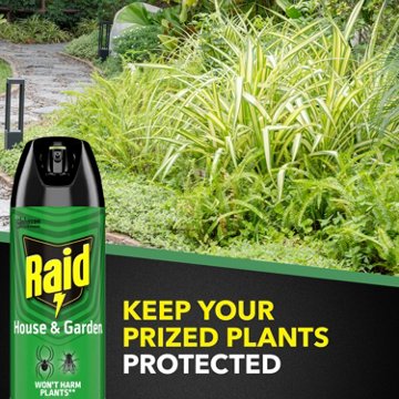 Raid House & Garden I Bug Spray, 11 oz
