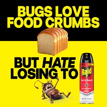 Raid Ant & Roach Killer 26 - Fragrance Free, 17.5 oz